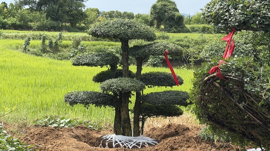 IMG_7608.jpg IMG_7608.jpg