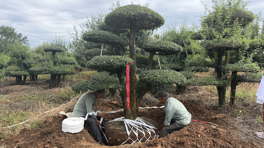 IMG_7591.jpg IMG_7591.jpg